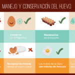 Consejos para alimentar y cuidar los huevos: Guía completa