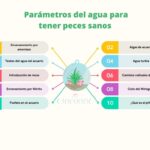 Consejos para mantener los parámetros del agua en acuarios de peces de agua salada de Sudamérica