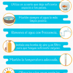 Consejos para mantener peces exóticos saludables