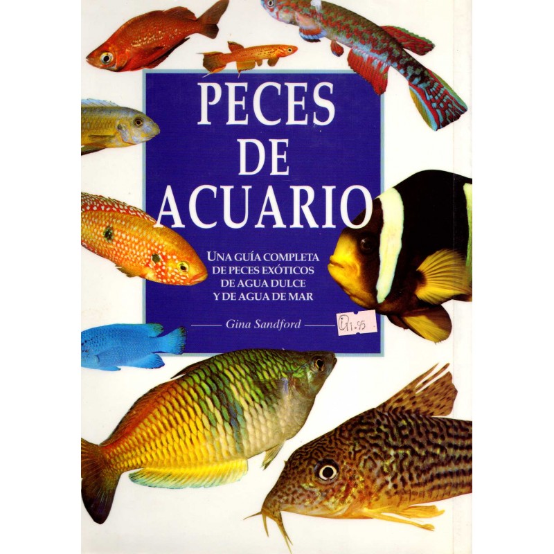 Descubre los peces exóticos de agua dulce más populares: guía completa