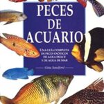 Guía definitiva de peces exóticos para acuarios: descubre los mejores para un acuario comunitario