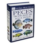 Guía práctica para purificar y cuidar el agua de los peces exóticos