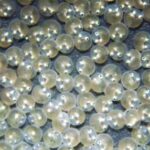 Sorprendentes datos sobre la puesta de huevos en peces exóticos